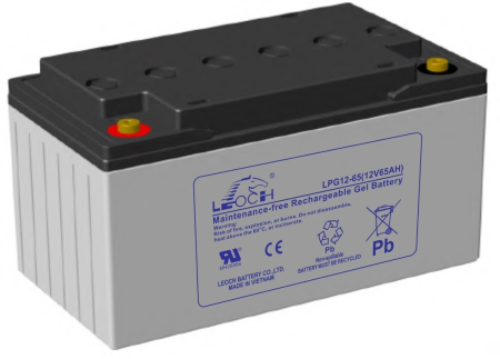 LEOCH LPG 12-65 LEOCH LPG 12-65